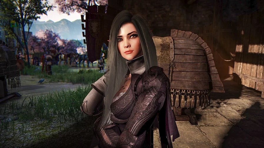 how to use a black desert online character template